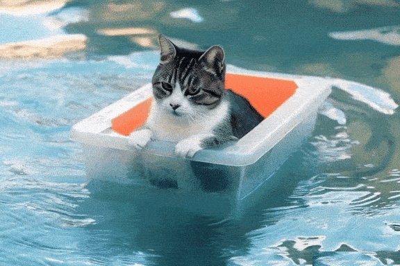 AI 生成：水中度假的猫